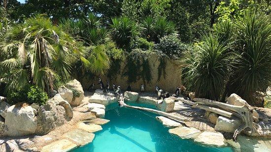 Giardino Zoologico di Pistoia